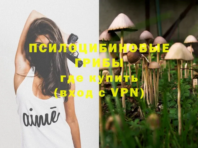 Галлюциногенные грибы Psilocybe  Рыбное 